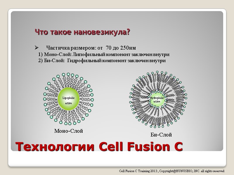 Технологии Cell Fusion C    Что такое нановезикула?  Частичка размером: от